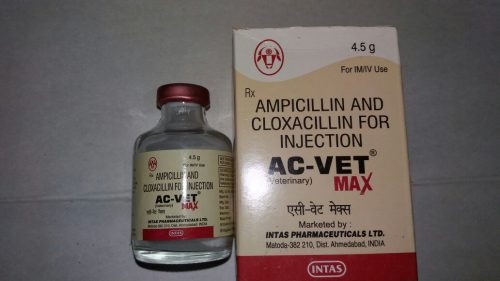 AC Vet Max injection – Intas Pharmaceuticals Ltd.