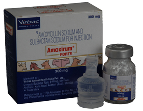 AMOXIRUM FORTE Injection (300 mg) virbac
