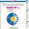 Wofur 1GM INJECTION - Vetoquinol India