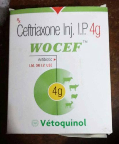 WOCEF 4GM INJECTION – Vetoquinol India