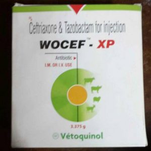 WOCEF XP 3375 INJECTION - Vetoquinol India