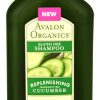 Avalon Organics Shampoo Gluten Free Cucumber Fragrance Free    11 fl oz (325ml)