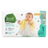 Seventh Generation Baby  Free and Clear Diapers Stage 1: 8 14 lbs(3.5 6.5KG)    40 Diapers