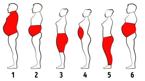 How body's fat affects men's and women's health differently