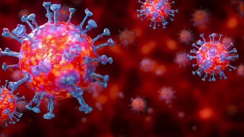 Coronavirus myths explored