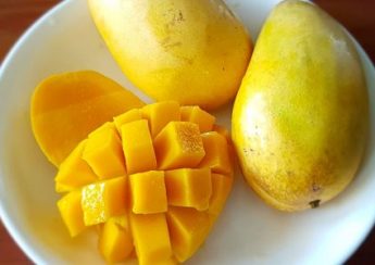 Never consume these 5 food items after eating mangoes!