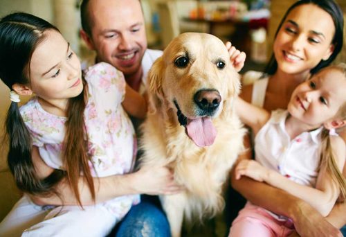 Top Tips for Taking Care of Your Dog