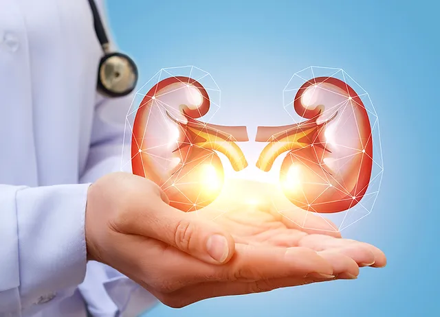 Two Simple Tests to Check Your Kidney Health and Detect Kidney Diseases